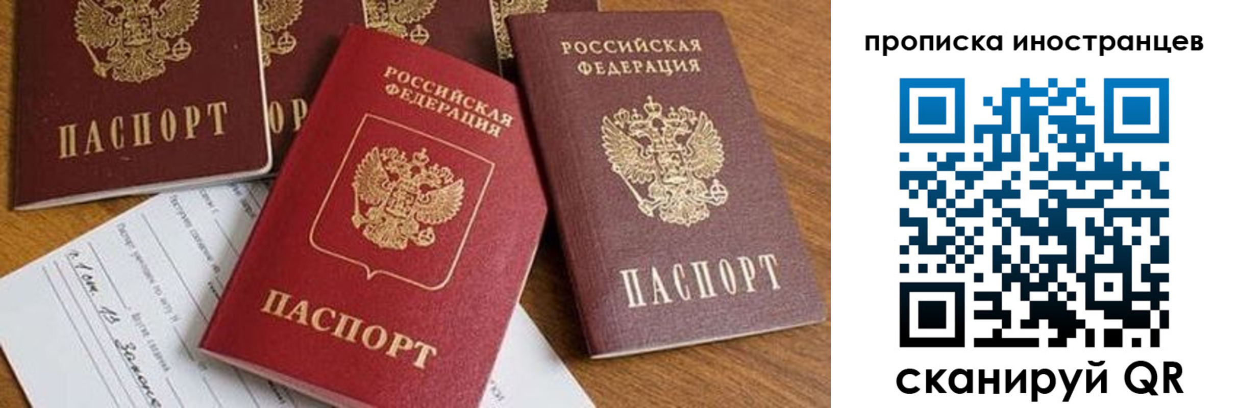 прописка в Невеле