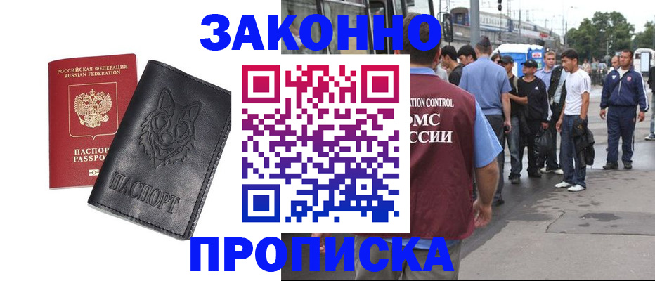 прописка поиск в Невеле